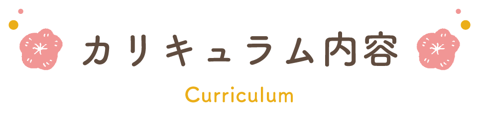 カリキュラム内容